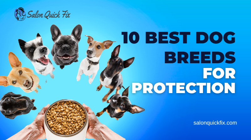 10 Best Dog Breeds for Protection