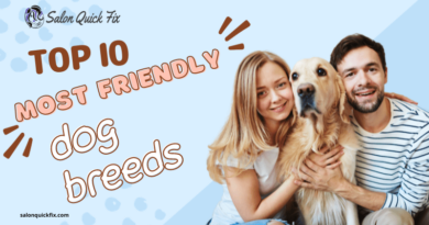 most friendly dog breeds