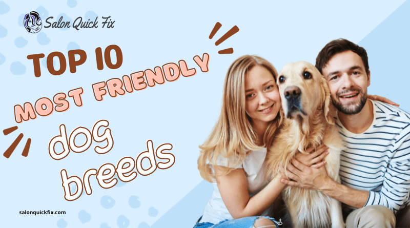 most friendly dog breeds