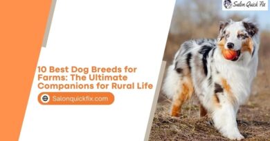 10 Best Dog Breeds for Farms: The Ultimate Companions for Rural Life