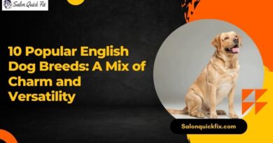 10 Popular English Dog Breeds: A Mix of Charm and Versatility