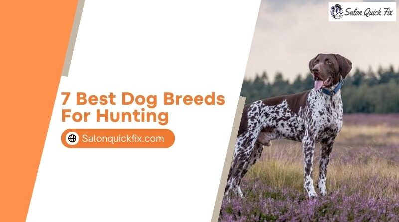 7 Best Dog Breeds for Hunting
