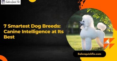 7 Smartest Dog Breeds: Canine Intelligence at Its Best