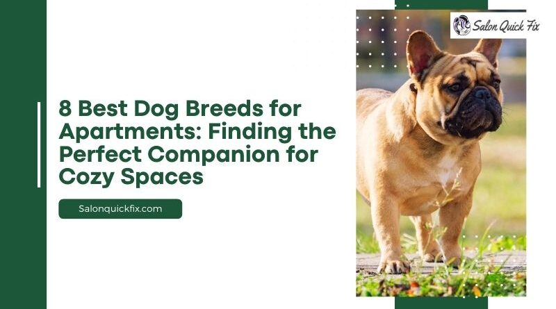 8 Best Dog Breeds for Apartments: Finding the Perfect Companion for Cozy Spaces
