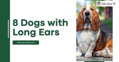 8 Dogs with Long Ears