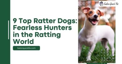9 Top Ratter Dogs: Fearless Hunters in the Ratting World
