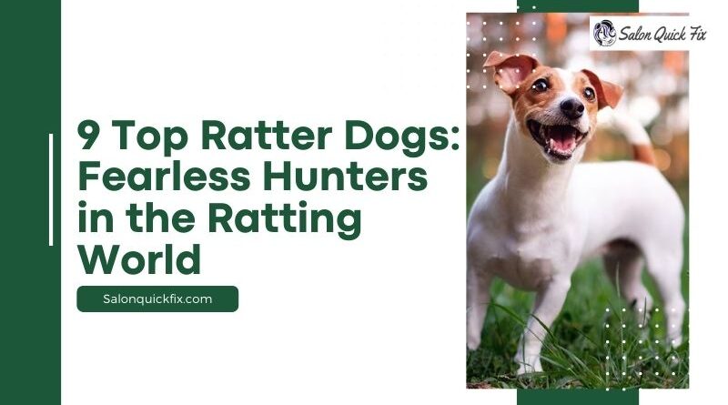 9 Top Ratter Dogs: Fearless Hunters in the Ratting World
