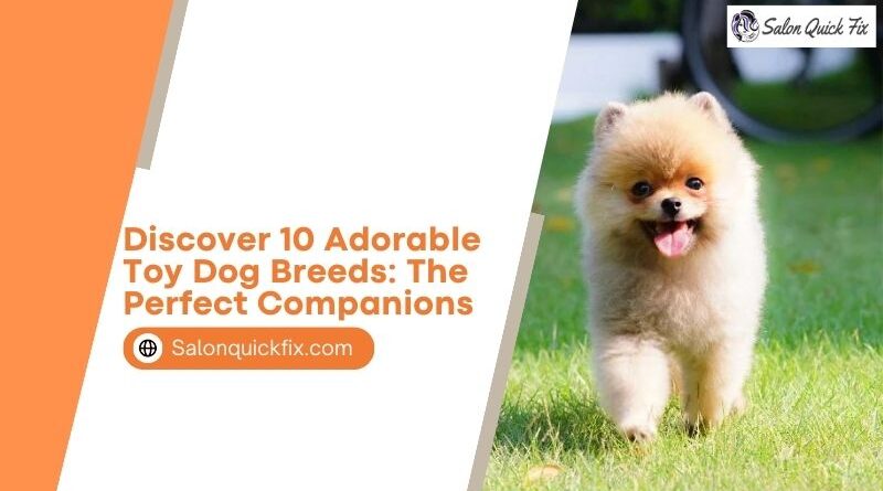 Discover 10 Adorable Toy Dog Breeds: The Perfect Companions
