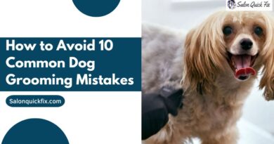 How to Avoid 10 Common Dog Grooming Mistakes