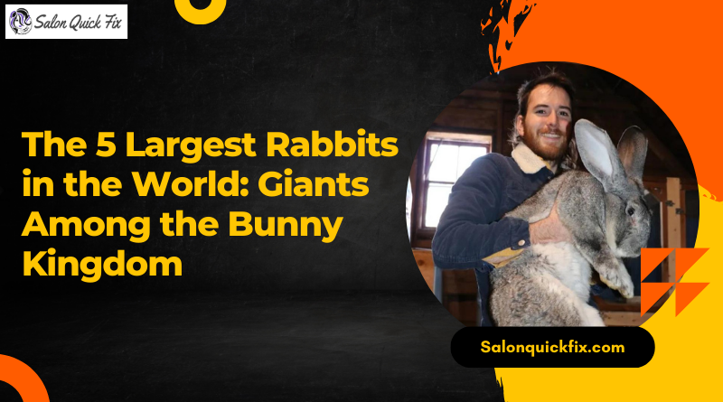 The 5 Largest Rabbits in the World: Giants Among the Bunny Kingdom
