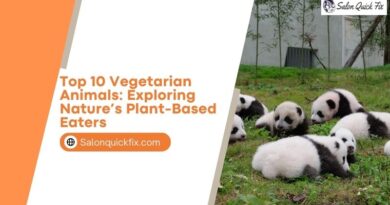 Top 10 Vegetarian Animals: Exploring Nature’s Plant-Based Eaters