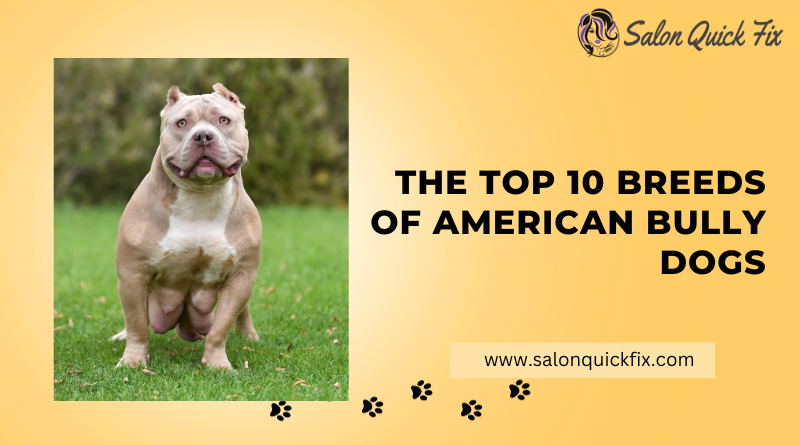 The Top 10 Breeds of American Bully Dogs