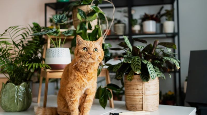 7 Cat-Friendly Plants Creating a Safe and Stimulating Environment for Your Feline Friend